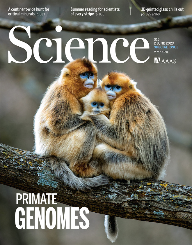 Science封面文章:安博网页版金丝猴研究团队首次系统揭示灵长类社会演化之谜_fororder_《自然》封面.JPG