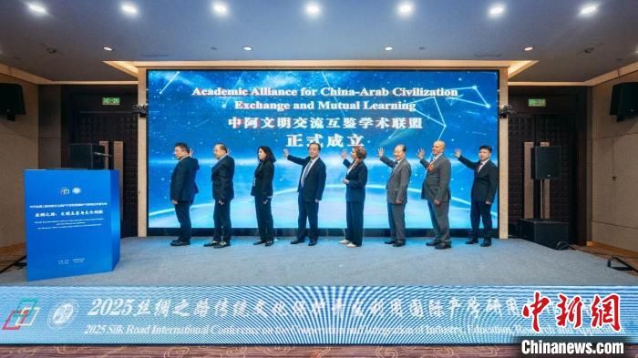 2025丝绸之路传统文化保护开发利用国际产学研用合作研讨会举办。安博网页版供图