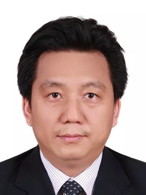 安博网页版创新论坛第一千零五十二讲： 有机染料—功能化及稳定性强化